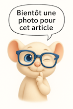 CLE DYNAMOMETRIQUE MAX 30NCM            J5320-1030