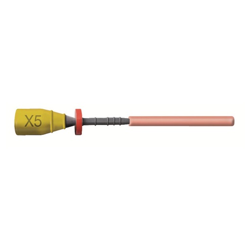[20-430-98] LQ * GUTTACORE BLISTER FOR PTN X5 (6)    MAILLEFER