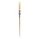 2SHAPE TS2 N25 6% L21 CLASSIC STERILE (5)MICROMEGA