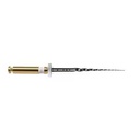 EDGEGLIDEPATH STER TAPER .02 6 21MM (4) EDGE ENDO