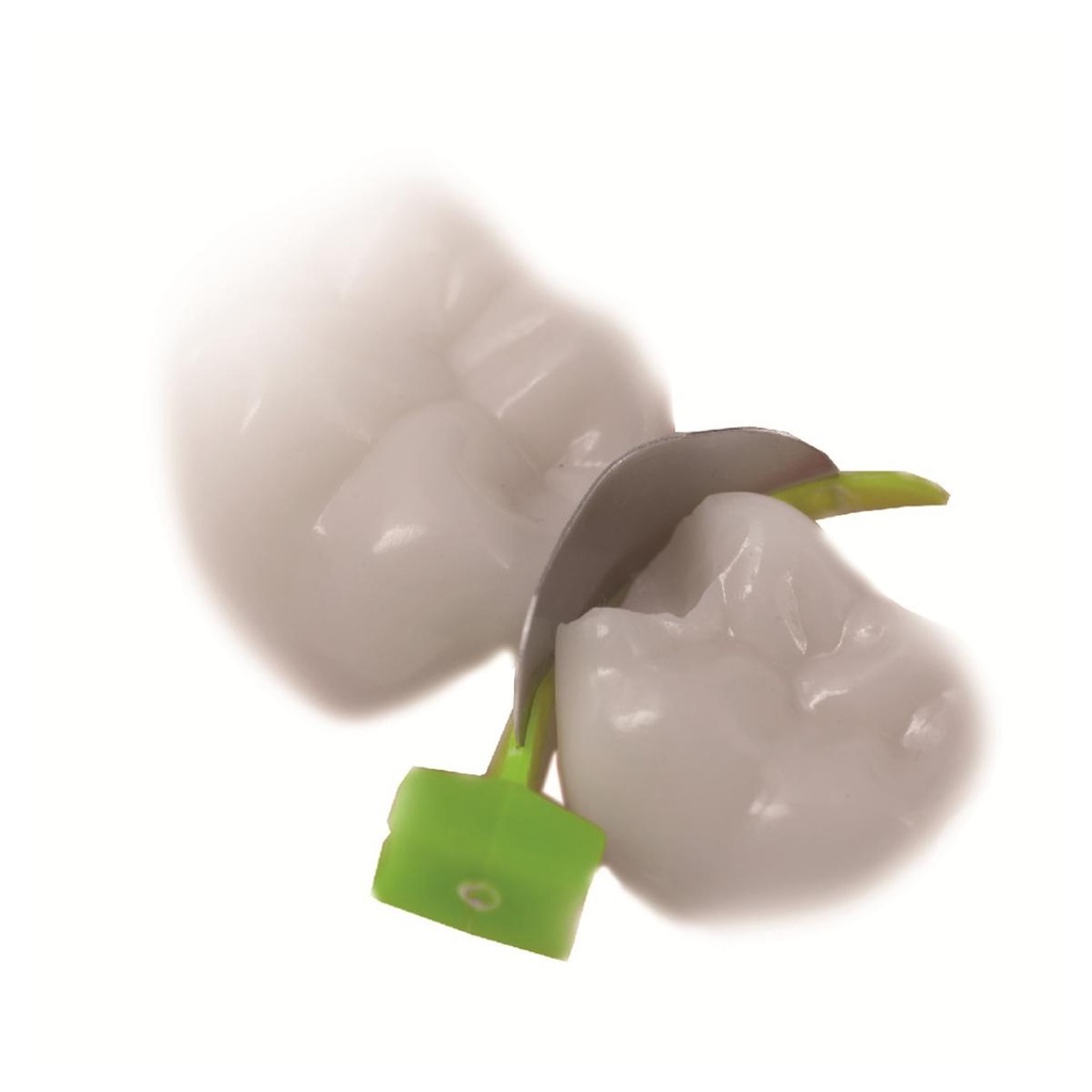 INTRO KIT FENDER WEDGE ET FENDER MATE      DIRECTA