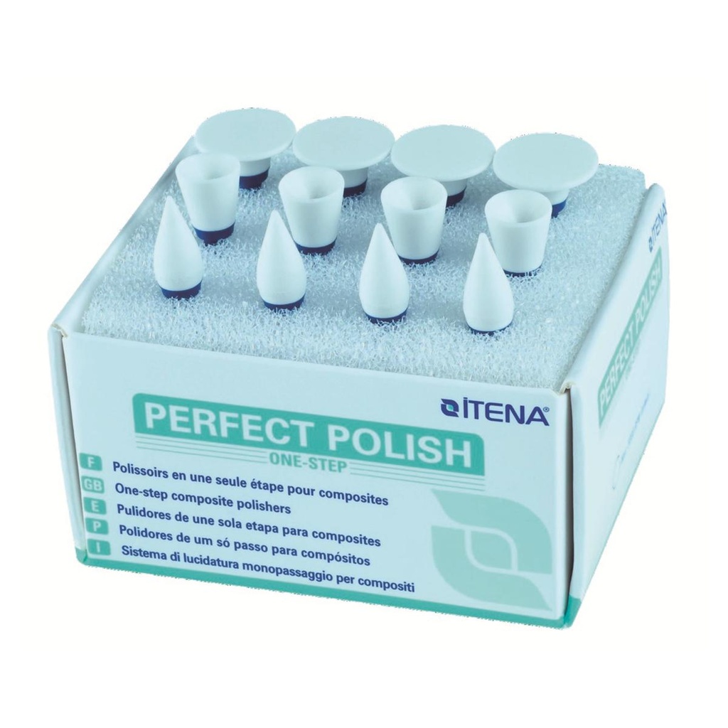 PERFECT POLISH PPASSORT-12                   ITENA