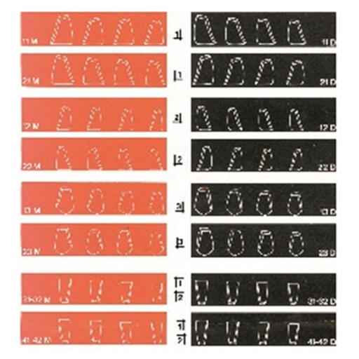 [54-312-78] COFORM DIRECTA 8 MATRICES 12 M             DIRECTA