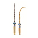 PRO-TAPER GOLD STERILES 21MM S1 (6)      MAILLEFER