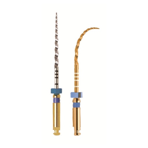 [10-419-88] PRO-TAPER GOLD STERILES 21MM S1 (6)      MAILLEFER