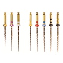 PRO-TAPER GOLD STERILES 25MM S1 (6)      MAILLEFER