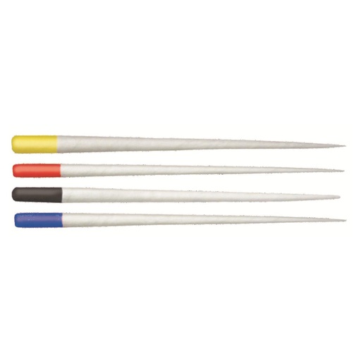 [19-480-98] PROTAPER NEXT POINTES PAPIER X2 (180)    MAILLEFER