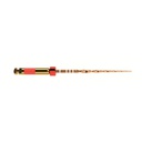 WAVEONE GOLD INSTR.STER SMALL 31MM (6)   MAILLEFER