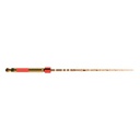 WAVEONE GOLD INSTR.STER PRIMARY 25MM (6) MAILLEFER