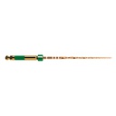 WAVEONE GOLD INSTR.STER MEDIUM 21MM (6)  MAILLEFER