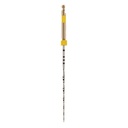 RECIPROC INSTRUMENT 31MM NO50 (6)V040212031050 VDW