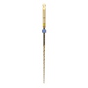 2SHAPE TS1 N25 4% L21 CLASSIC STERILE (5)MICROMEGA